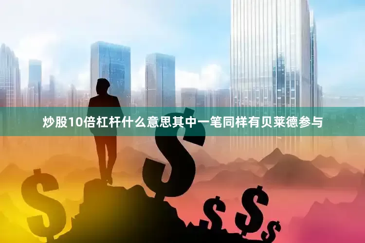 炒股10倍杠杆什么意思其中一笔同样有贝莱德参与