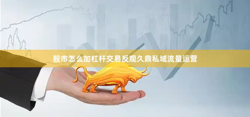 股市怎么加杠杆交易反观久鼎私域流量运营