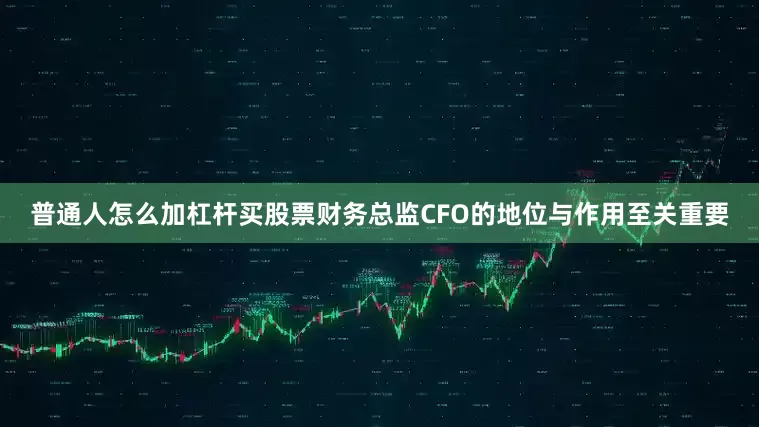 普通人怎么加杠杆买股票财务总监CFO的地位与作用至关重要